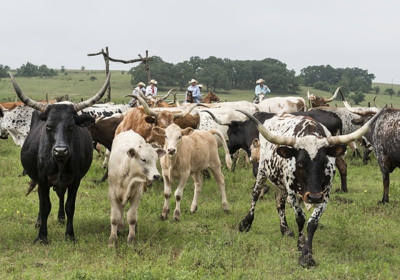 New Jersey Bride Alternative Bachelor Party