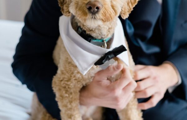 This Wedding Embraced the Bride and Groom’s Love of the Shore