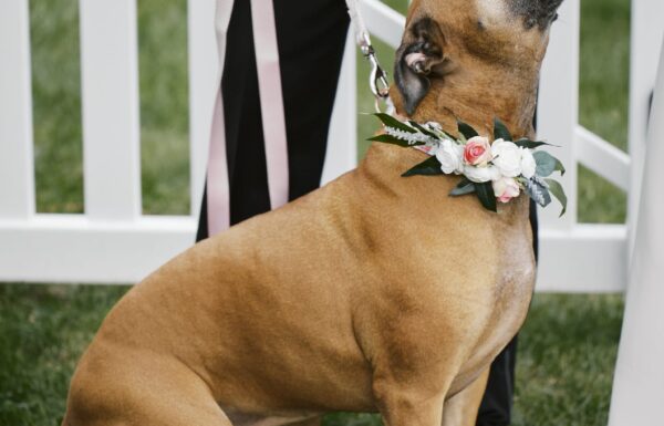 A Micro-Wedding at the Groom’s Parents’ Home Full of Joy and Love