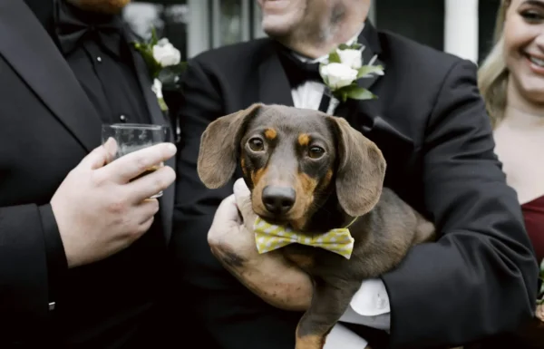 A Gothic-Inspired Fall Wedding at Stone House