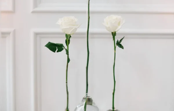Pops of Hot Pink Completed This Elegant Wedding at The Shore