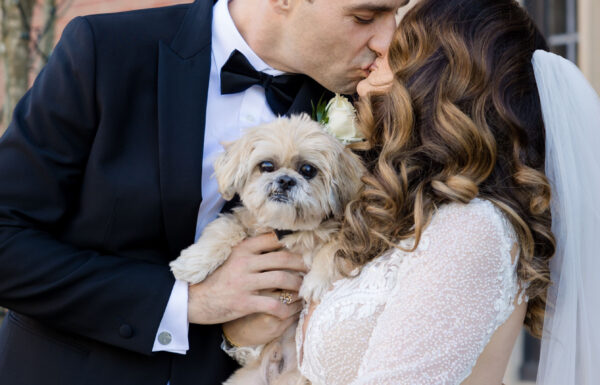 “Hints of Gold in Everything” at This Natirar Wedding