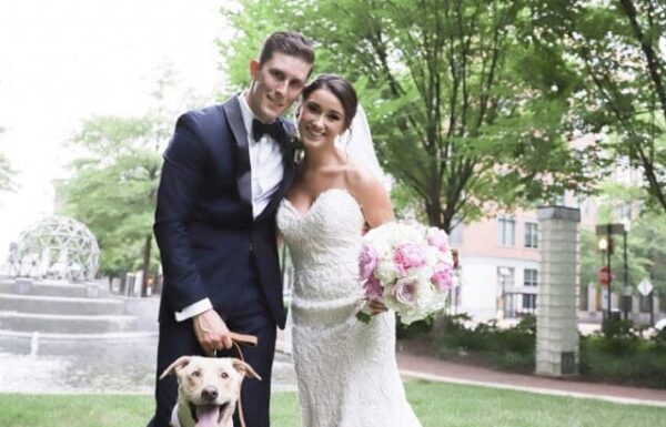 Furever & Fur Always Wedding Dog Day Care Gallery 1