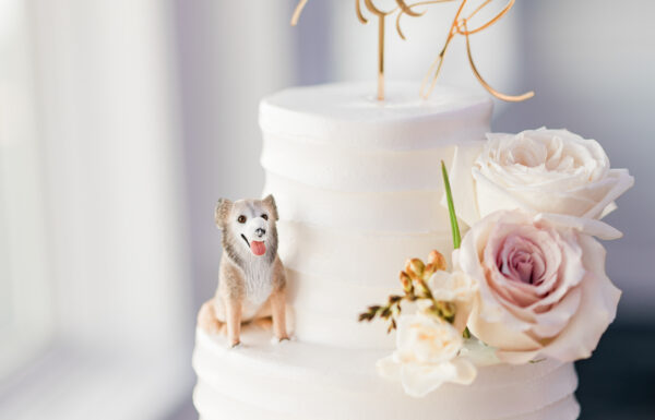 A Chic, Romantic Late-Summer Wedding at the Shore