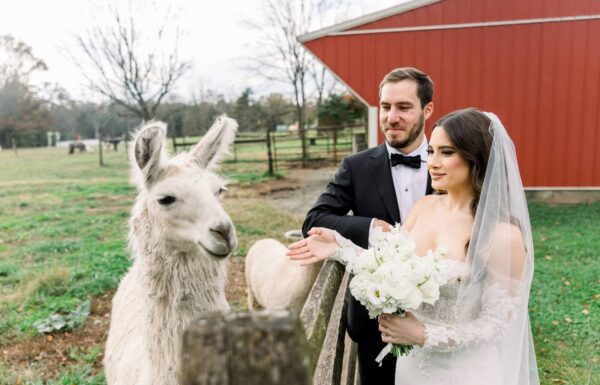 This Couple Took Cute Photos With Llamas at Their Fall Farm Wedding