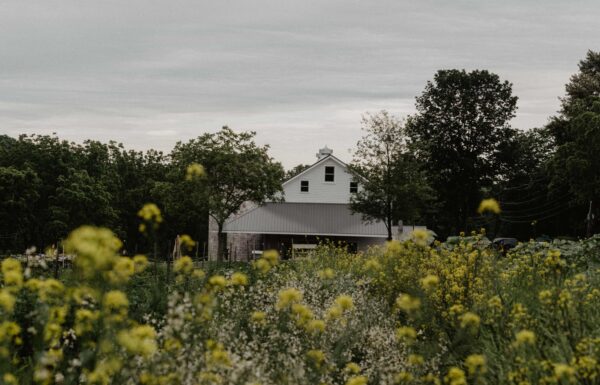 The Farm at Glenwood Mountain Gallery 2