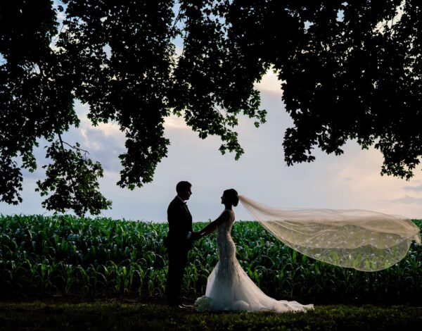 Venues Listing Category Hotel du Village