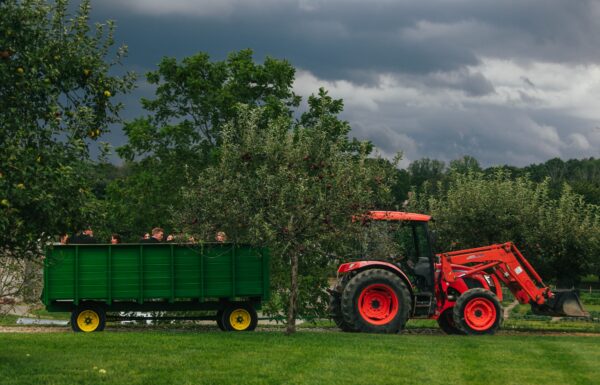 A Modern Rustic Wedding Where the Guests Arrived By Tractor and Enjoyed a S’mores Bonfire