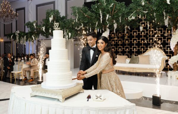 The Groom Arrived on a Horse and Then Stepped in as The DJ At This Indian Wedding