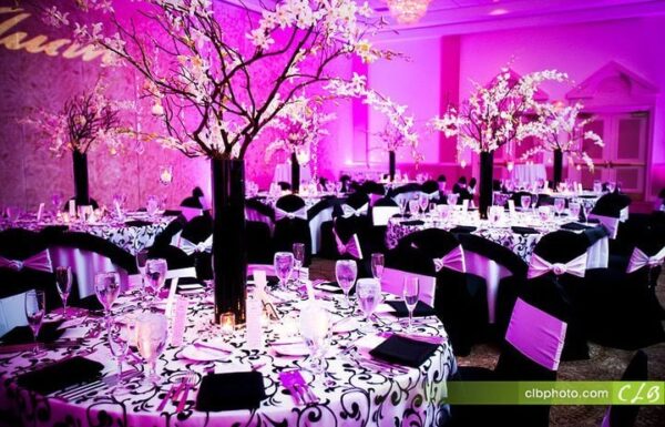 PeterJames Events & Floral Couture Gallery 1