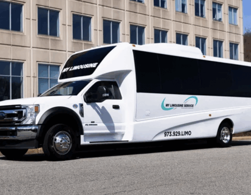 My Limo Gallery 2