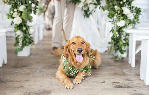 This Shore-Loving Couple Had a Sea Glass Seating Chart at Their Wedding