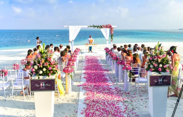 JBL Travel Group Gallery 2