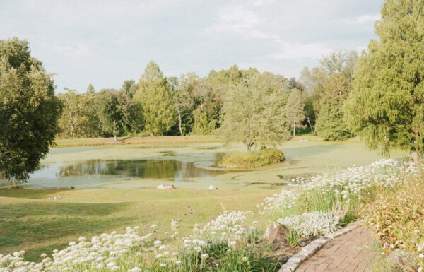 A wedding at an Airbnb in Malvern, Pennsylvania.