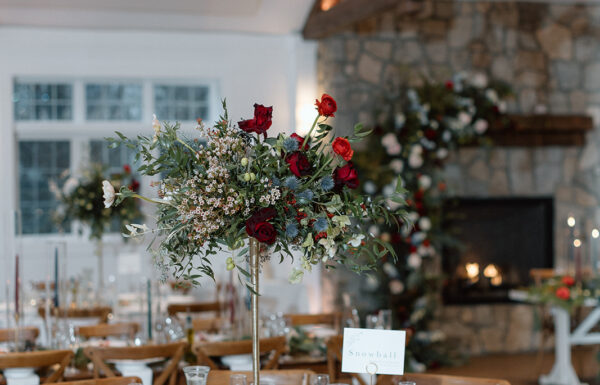 Kristy Hoadley Photography