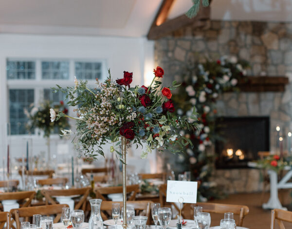 Kristy Hoadley Photography