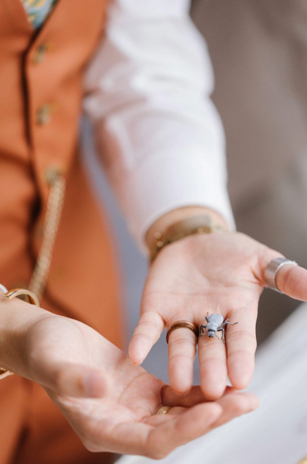 A Madison Hotel wedding.